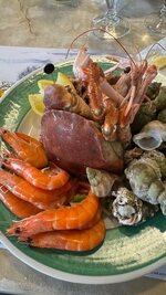 IMG_3110.jpeg