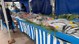IMG_3131.jpeg
