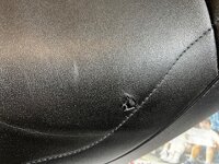 IMG_7198.jpeg