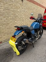 IMG_9703.jpeg
