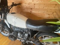 IMG_2963.jpeg