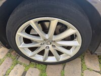 IMG_1071.jpeg