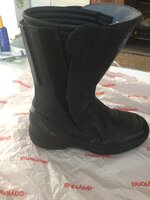 IMG_1007.jpeg