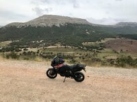 IMG_2636.jpeg