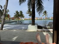 IMG_6944.jpeg IMG_6944.jpeg