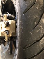 IMG_2061.jpeg IMG_2061.jpeg