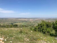 IMG_4372.jpeg IMG_4372.jpeg