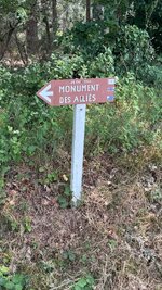IMG_3200.jpeg