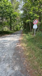 IMG_3201.jpeg