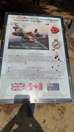 IMG_3203.jpeg