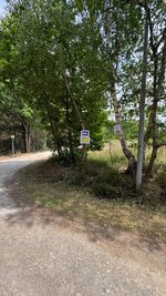 IMG_3215.jpeg