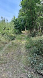 IMG_3218.jpeg