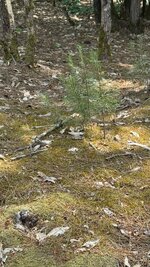 IMG_3219.jpeg