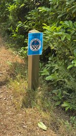 IMG_3220.jpeg