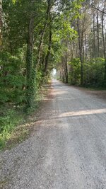 IMG_3269.jpeg