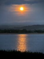 IMG_0598.jpeg