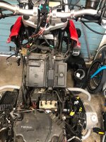 IMG_2177.jpeg