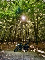 IMG_0634.jpeg