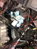 IMG_2180.jpeg