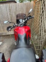 IMG_7675.jpeg
