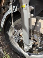 IMG_7681.jpeg