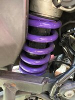 IMG_7682.jpeg
