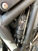 IMG_7683.jpeg