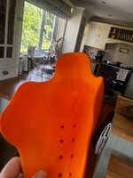 IMG_7295.jpeg