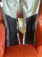 IMG_7297.jpeg