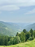 IMG_0754.jpeg