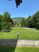 IMG_4371.jpeg