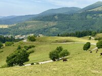 IMG_0778.jpeg