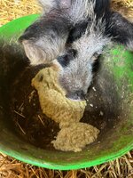 IMG_5474.jpeg