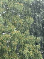 IMG_0832.jpeg