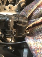 IMG_2187.jpeg