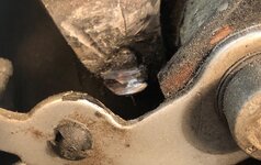 IMG_2189.jpeg