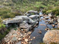 IMG_7277.jpeg
