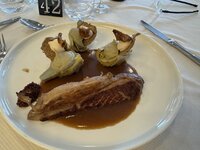 IMG_7090.jpeg