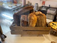 IMG_9833.jpeg IMG_9833.jpeg