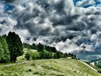 IMG_0851.jpeg