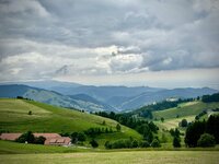 IMG_0863.jpeg