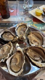 IMG_3526.jpeg