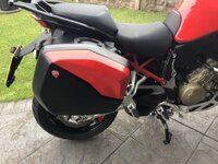 IMG_0101.jpeg