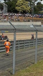 IMG_3383.jpeg