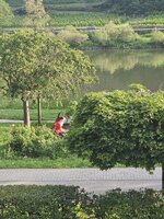 20250618_075336.jpg