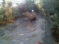 puddle.jpg