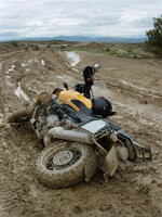 mudgloriousmud.jpg