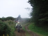 silverm12.JPG