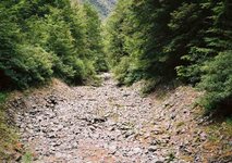 nzdryriverbed[1].jpg