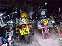 Harley interloper.jpg